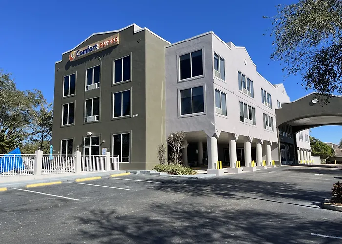 Comfort Suites Clearwater - Dunedin