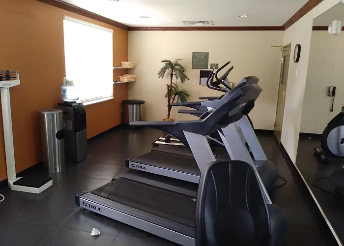 Seffner Inn And Suites