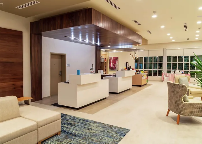 Hilton Garden Inn Tampa - Wesley Chapel