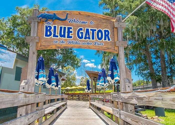 The Gator Den