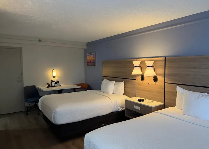 La Quinta By Wyndham St Petersburg-Clearwater