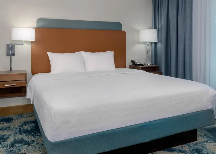 Hampton Inn & Suites Tampa Airport Avion Park Westshore