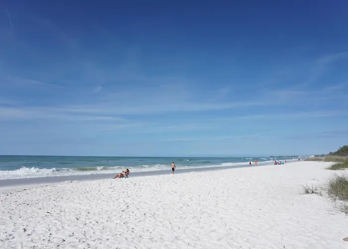 Anna Maria Island Beach Shack Pet Friendly!