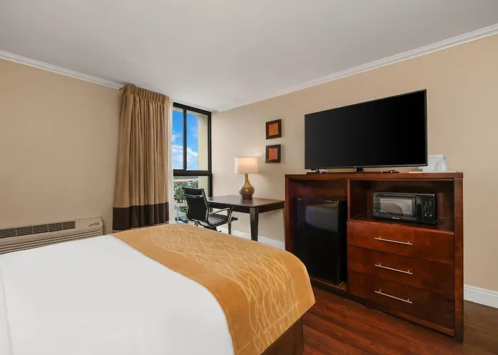 Comfort Inn Oceanside Deerfield Beach