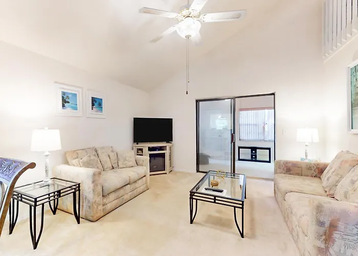 Port Orange Palm Tree Reverie