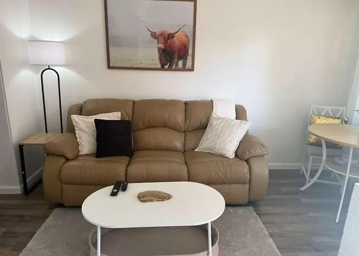 2 Bedroom, 1 Bath In Downtown Brooksville