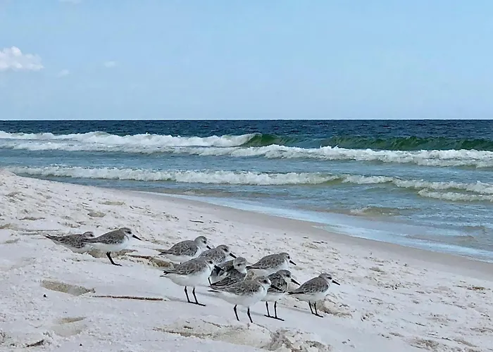 Heron'S Watch