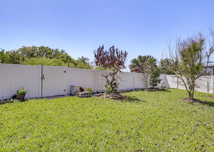 Extended Stay In Tampa Area! Spacious Home W/ Yard