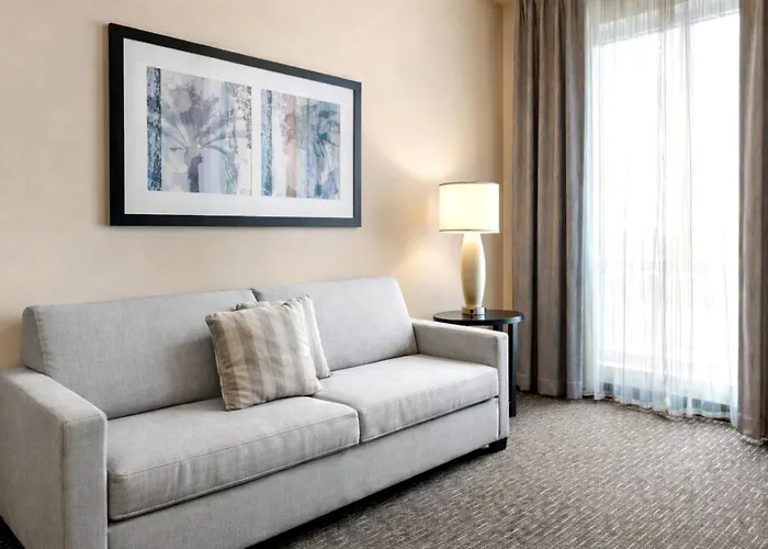 Staybridge Suites St. Petersburg Fl By Ihg