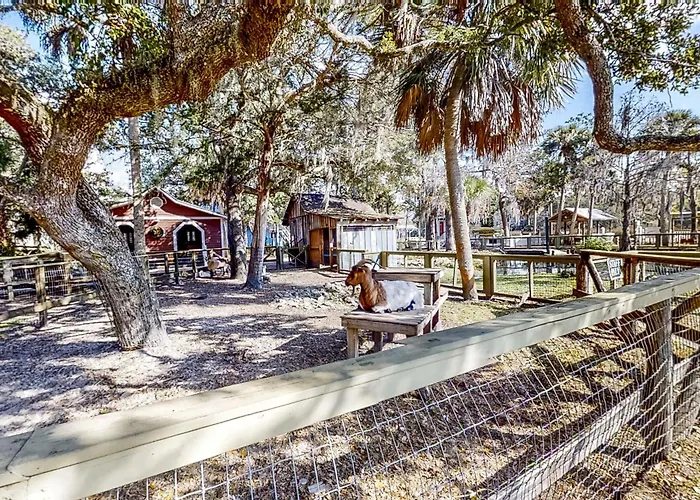 Fish, Hike & Unwind! Quiet Haven In Steinhatchee