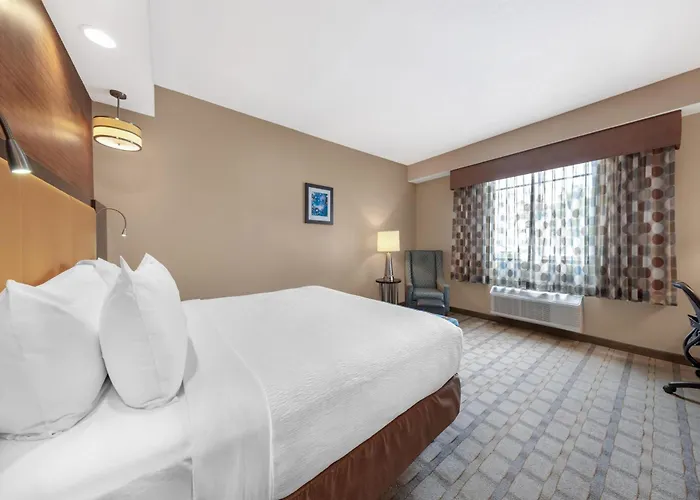 Best Western Plus Miami Executive Airport Hotel And Suites