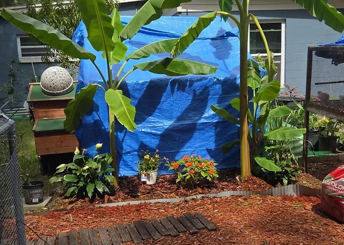 Ranch Style Tiny Home In Backyard With Animals Near Downtown Orlando