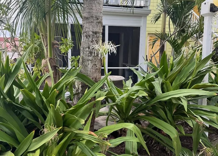 Cozy 2Br Villa Steps To Beach W Pool Unit 8