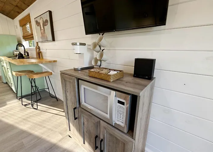 Entire Farm Retreat With Three Modern Cabins In Lake City, Florida, Perfect For An Event Or Large Family Getaway