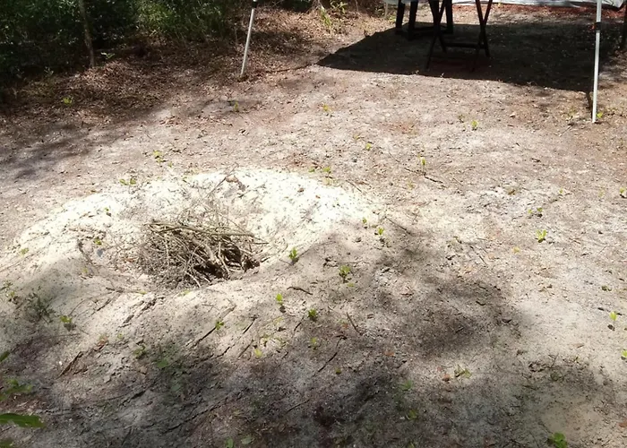 Wilderness Camp Site