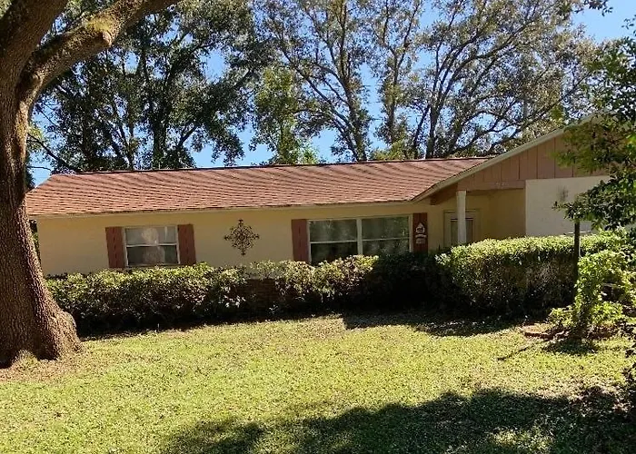 The Flamingo House