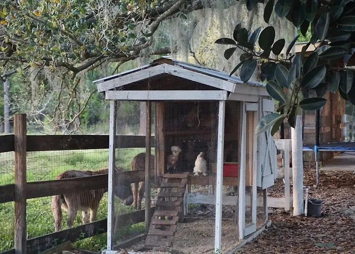 With Tree House, Surprising Tropical-Style Resort