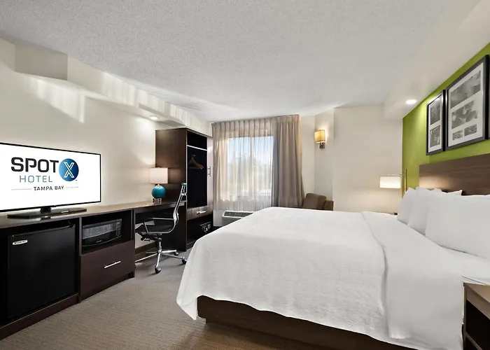 Spot X Hotel Wesley Chapel - Tampa Area