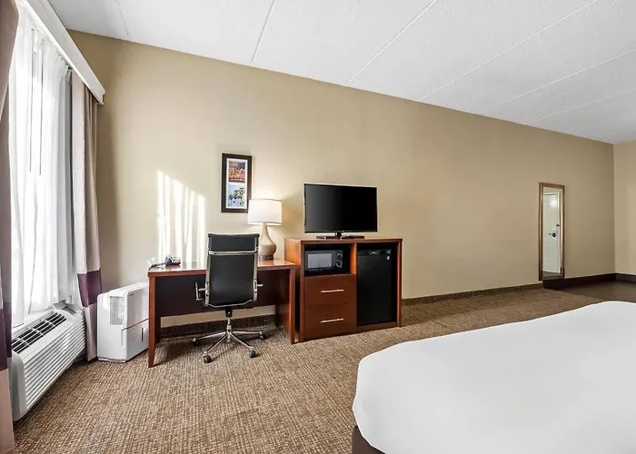 Comfort Inn & Suites Panama City - St Andrew