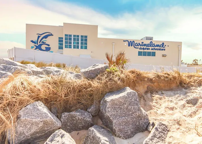 Sea Winds 51