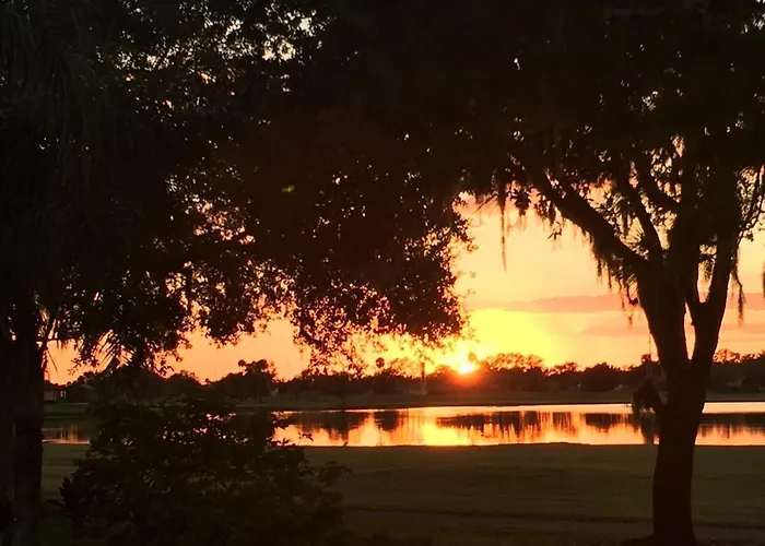Stunning 3Br Lakefront - Pool Home In Palmetto - Cranes Galore
