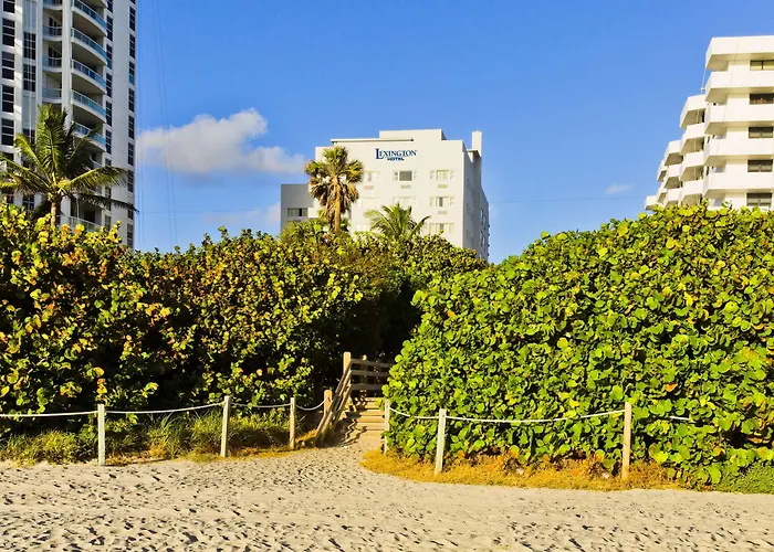 Lexington By Hotel Rl Miami Beach