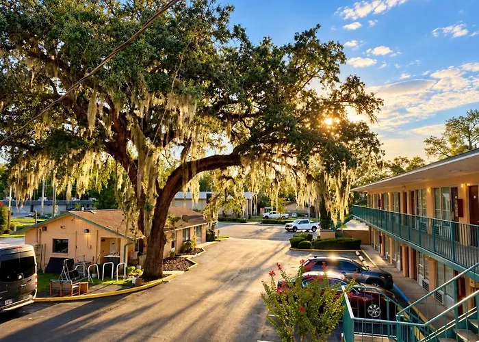 Travelers Inn Gainesville