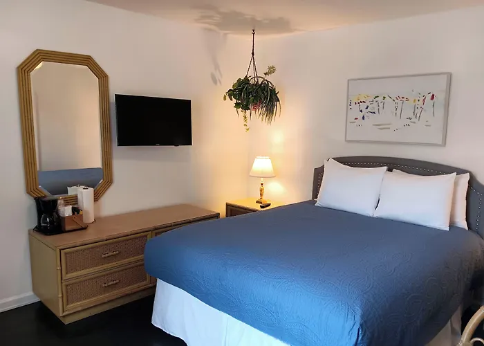 The Cozy Inn