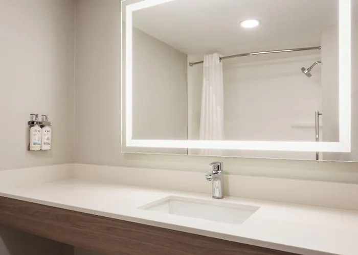 Holiday Inn Express Hotel & Suites Tampa-Rocky Point Island By Ihg