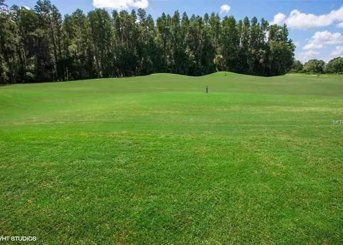 Saddlebrook Golf Course View Condo With Kitchen